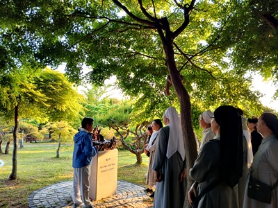 사진